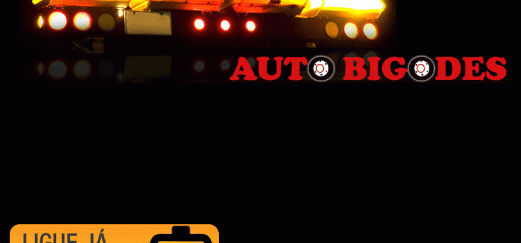 Auto Bigodes - Transportes, Reboques e Táxis